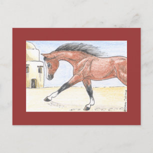 "Saree bint Sehkit" Postcard