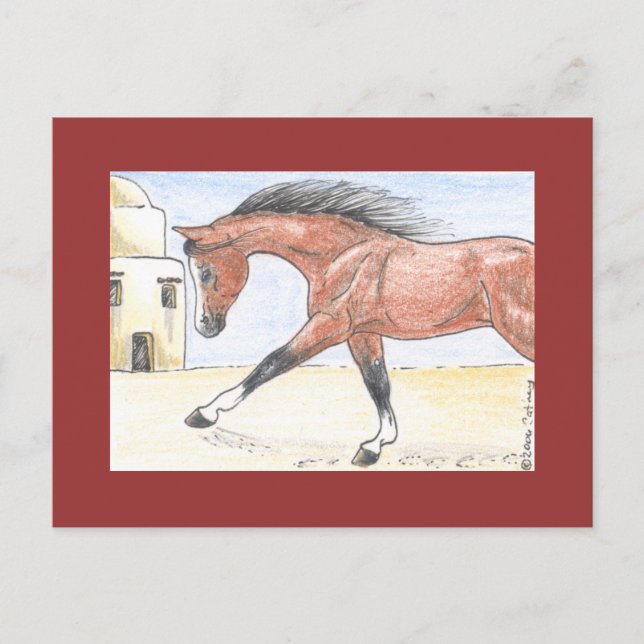 "Saree bint Sehkit" Postcard (Front)