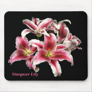 Sargazer Lily Mousepad