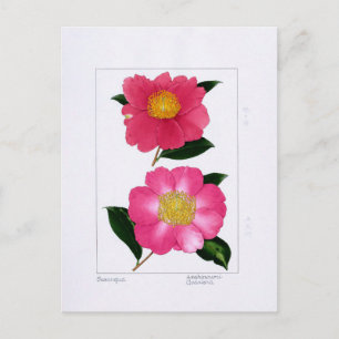 Sasanqua Plate: Asahinoumi & Godaishu Postcard