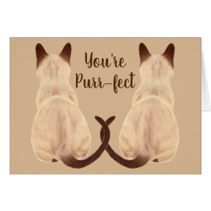 Sasha Siamese Cat Lover Back View You're Purrfect