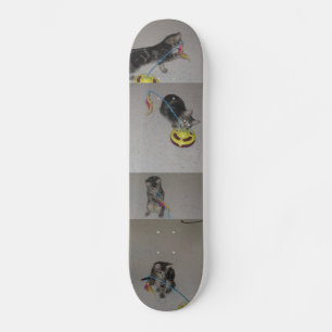 SASHA SKATEBOARD