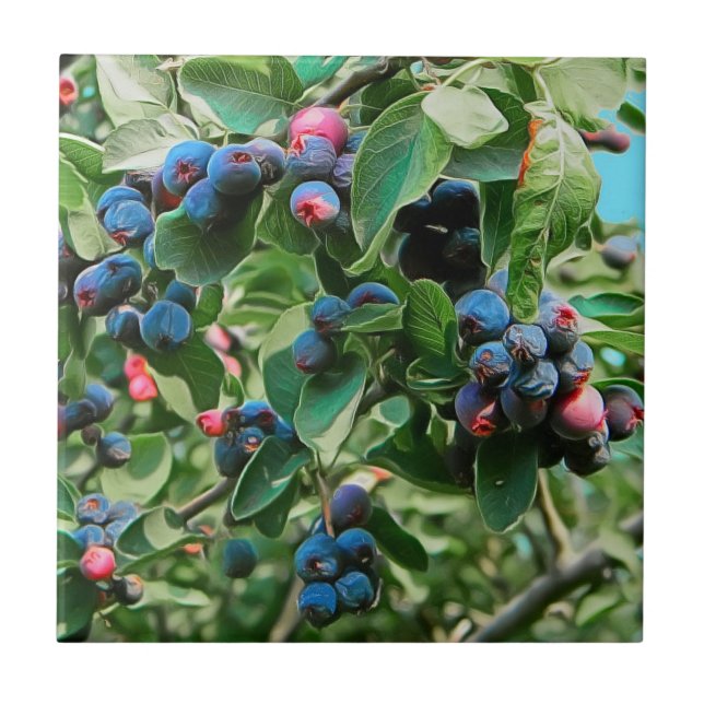 Saskatoon Tile (Front)