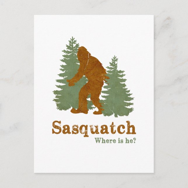 Sasquatch... Where is he? Postcard (Front)