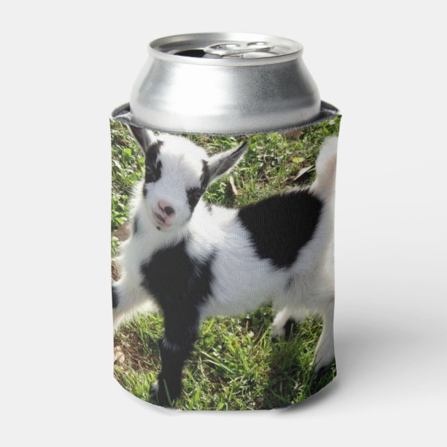 Sassy Black and White Nigerian Dwarf Goat Kid Can Cooler (Can Front)