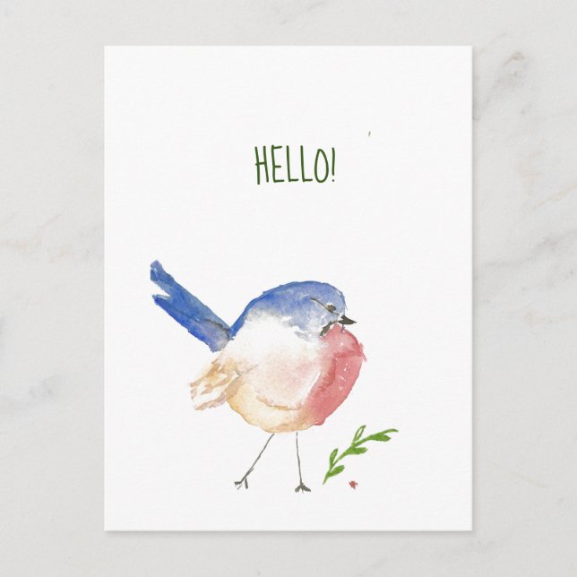 sassy bluebird postcard (Front)