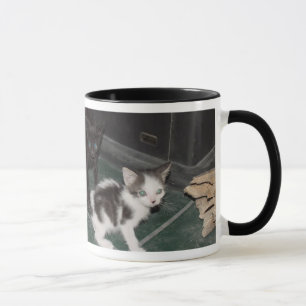 Sassy Cats Mug