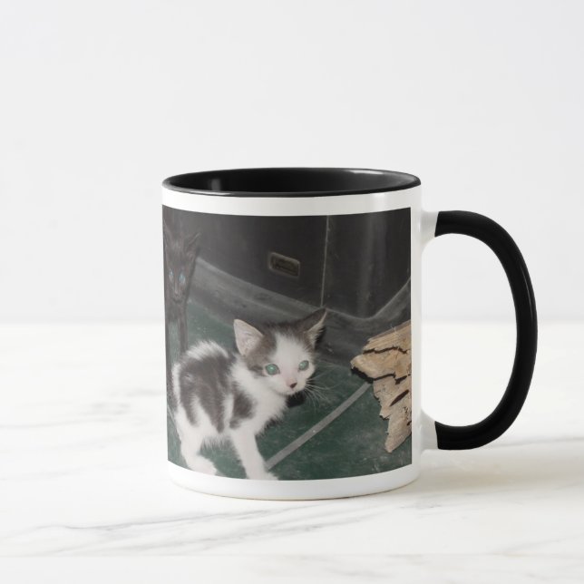 Sassy Cats Mug (Right)