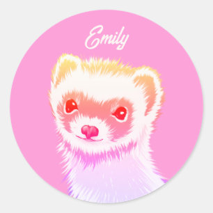 Sassy Ferret In Rainbow Colours Classic Round Sticker