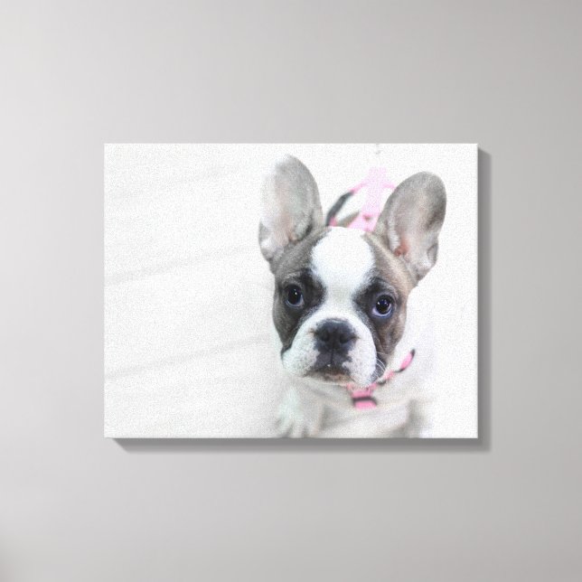 Sassy French Bulldog Canvas Print (Front)