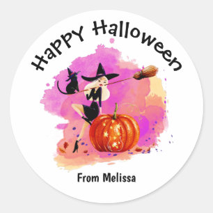 Sassy Halloween Witch With Cat Classic Round Sticker