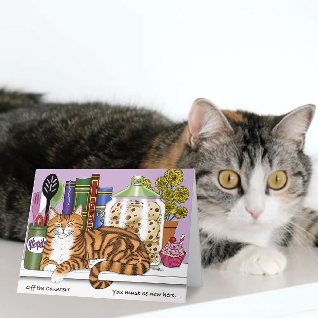 Sassy Orange Tabby Kitchen Counter Top Cat Funny Card (Creator Uploaded)