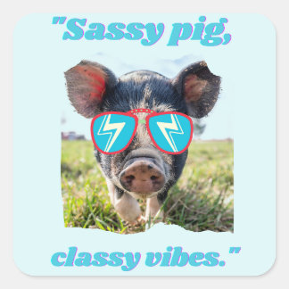 Sassy Pig  Classic Vibes- Pig Quote Square Sticker