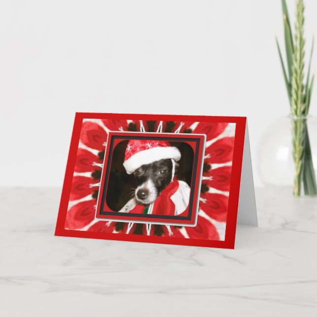 Sassy Santa Dog Holiday Card (Front)