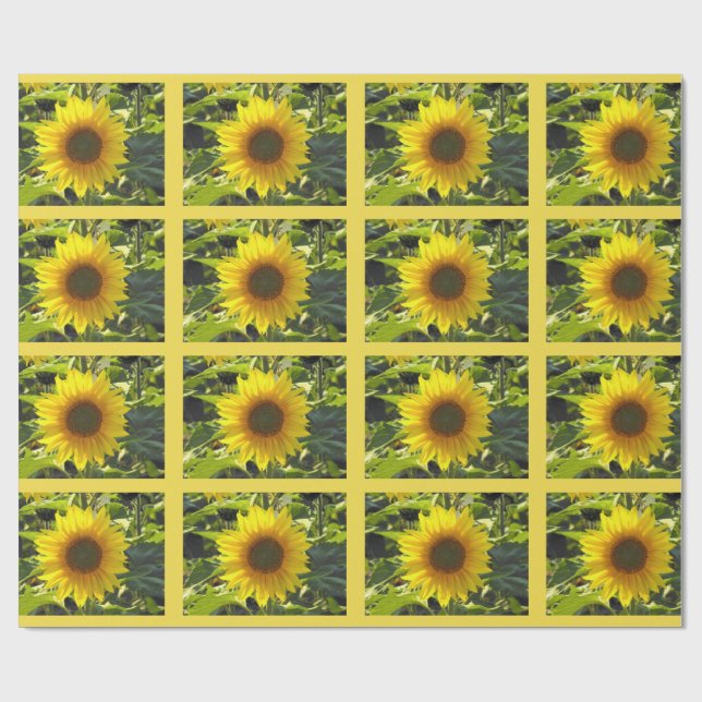 Sassy Summer Sunflowers Wrapping Paper (Flat)