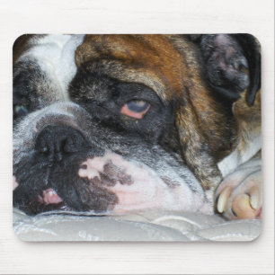 Sassydog English bulldog mouse pad