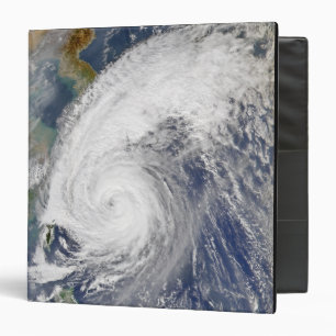 Satellite image of a typhoon binder