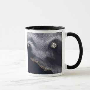 Satellite image of Semisopochnoi Island Mug