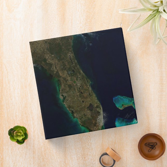 Satellite View Of Florida. Binder (In Situ)