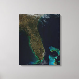 Satellite View Of Florida. Canvas Print