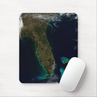 Satellite View Of Florida. Mouse Pad