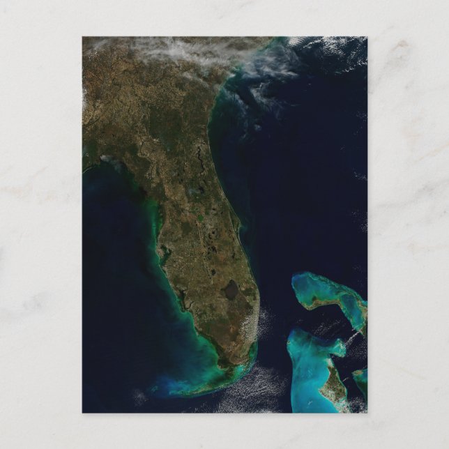 Satellite View Of Florida. Postcard (Front)
