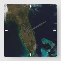 Satellite View Of Florida.