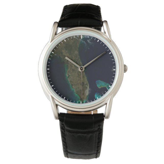 Satellite View Of Florida. Watch (Front)