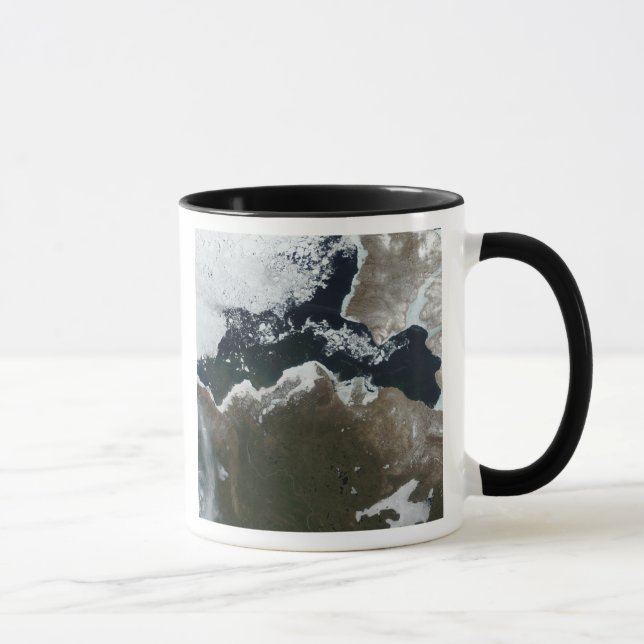 Satellite view of Northwest Canada Mug (Right)