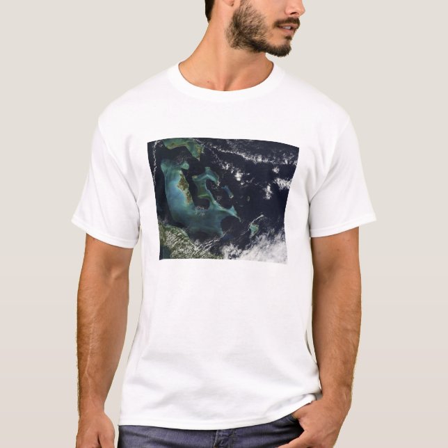 Satellite view of the Bahama Islands T-Shirt (Front)
