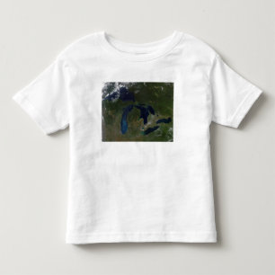 Satellite view of The Great Lakes Toddler T-shirt