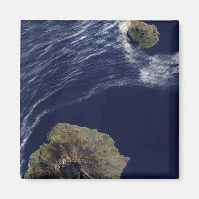Satellite view of the Prince Edward Islands Magnet (Front)