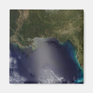 Satellite view of the Southeastern United State 2 Magnet