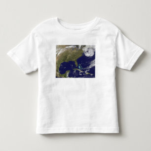 Satellite view of the United States East Coast Toddler T-shirt