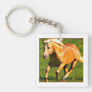 Satin Key Chain~ Keychain