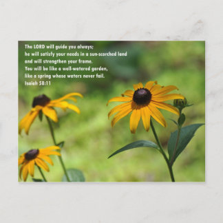 Satisfaction in a Sun-Scorched Land Postcard