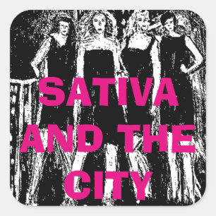 SATIVA AND THE CITY SQUARE STICKER