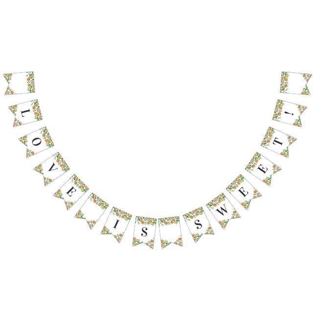 Satsuma Charcoal Main Squeeze Citrus Bridal Shower Bunting Flags (All)