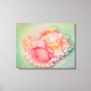 Saturated Shell Canvas Print