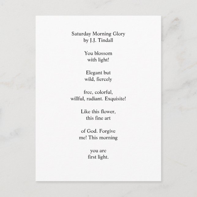 Saturday Morning Glory Postcard (Front)