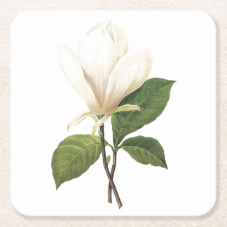 saucer magnolia(Magnolia soulangiana) by Redouté Square Paper Coaster