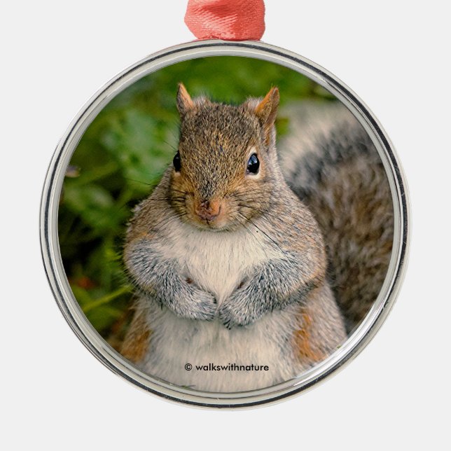 Saucy Cute Squirrel Could You Spare a Peanut? Metal Ornament (Front)