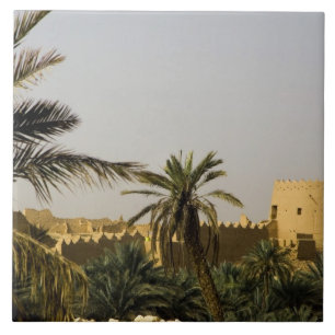 Saudi Arabia, Riyad, Al-Diriya old town of Saud Tile