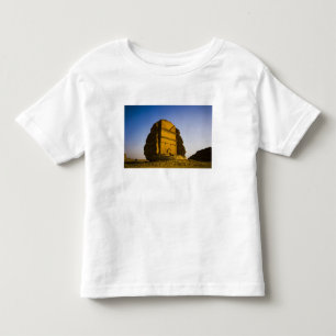 Saudi Arabia, site of Madain Saleh, ancient 4 Toddler T-shirt