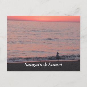 Saugatuck Sunset Postcard