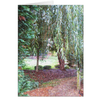 Saule pleurant