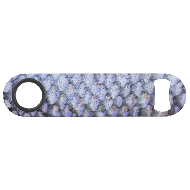 Saumon chatoyant (Devant (Horizontal))