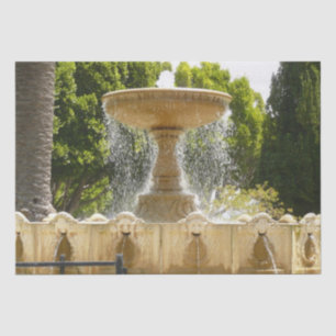 Sausalito Fountain California Travel Photography Tissue Paper
