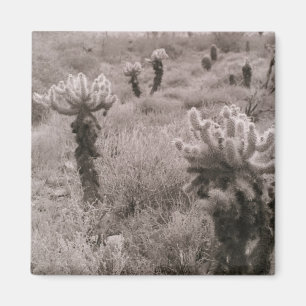 Saut Cholla Cactus Désert Réfrigérateur Magnet