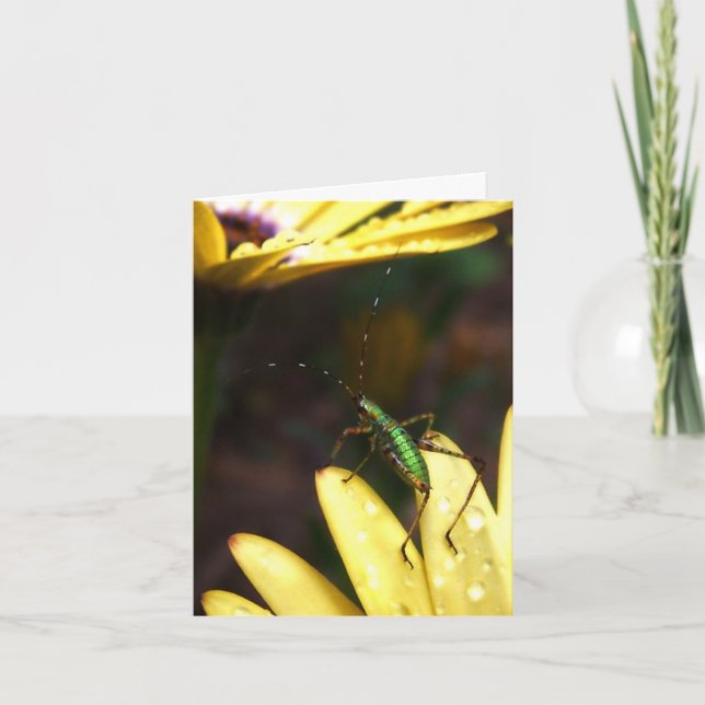 Saut de sauterelle de bébé de carte de note de foi (Devant)